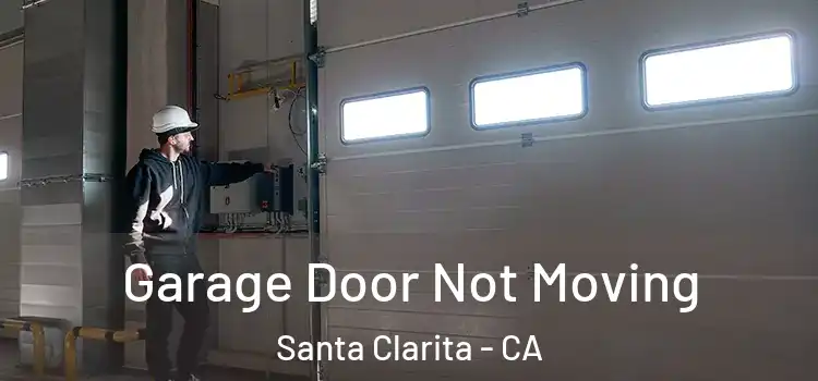  Garage Door Not Moving Santa Clarita - CA