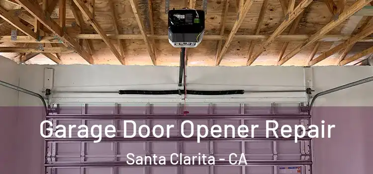  Garage Door Opener Repair Santa Clarita - CA
