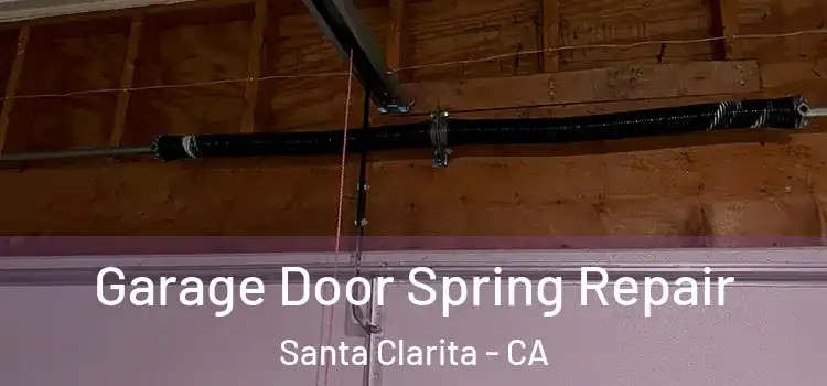  Garage Door Spring Repair Santa Clarita - CA