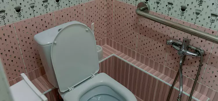 Meeting Diverse Needs With Accessible Restroom Solutions in Santa Clarita, CA