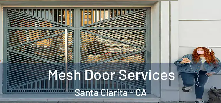 Mesh Door Services Santa Clarita - CA